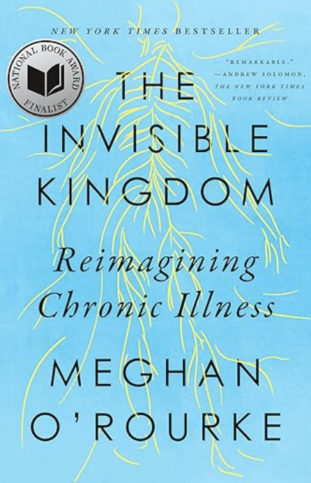Book Cover The Invisible Kingdom showing an abstract illustration of nerves in the human body.